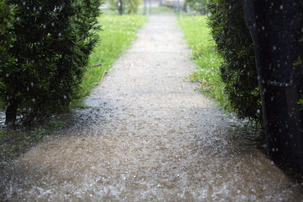 The Importance of French Drain Cleaning